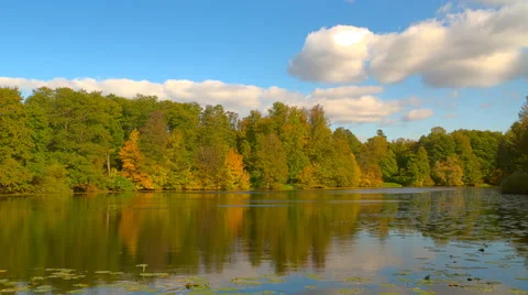 Autumn Landscape Stock Footage 42936473
