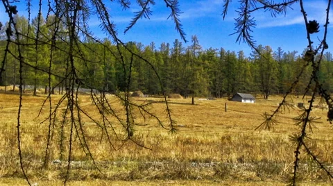 Autumn Landscape Stock-Footage 45104829