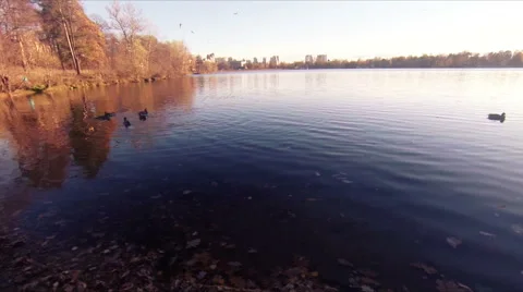 Autumn landscape Stock-Footage 45723523