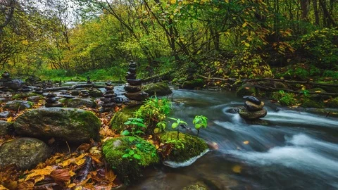 Autumn landscape Stock-Footage 80141744