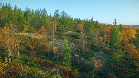 Autumn landscape Vídeos de archivo 80521732