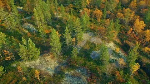 Autumn landscape Stock Footage