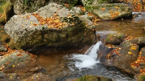 Autumn landscape. Stock Footage 83741374