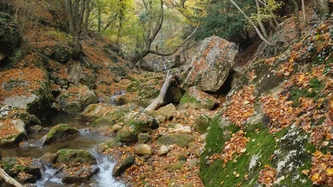 Autumn landscape. Video stock 84797315