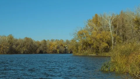 Autumn landscape Stock Footage 119253636