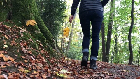 Autumn landscape. Stock Footage 119308051