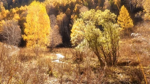 Autumn landscape Stock Footage 119704266