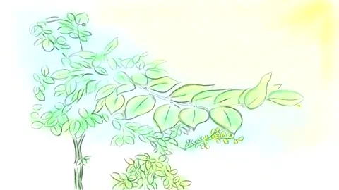 Autumn landscape Stock Footage 139172041