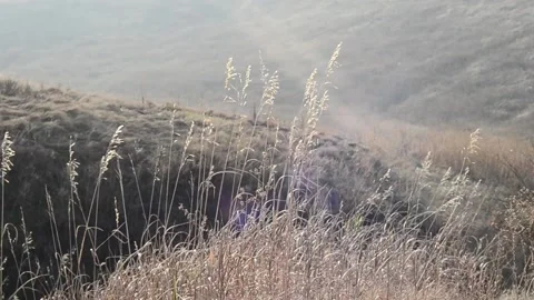 Autumn landscape Stock-Footage 141191701