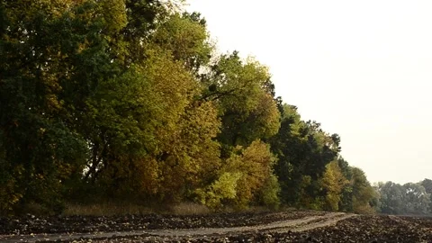 Autumn landscape Video stock 141326827