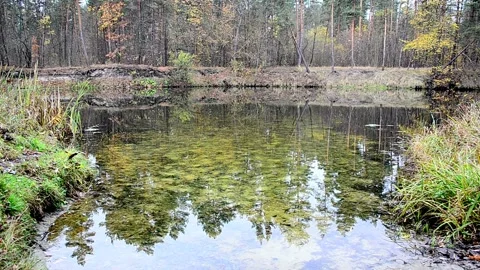 Autumn landscape Stock Footage 142298105
