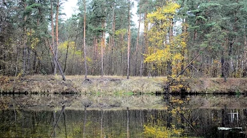 Autumn landscape Stock Footage 142298276