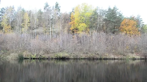 Autumn landscape Stock Footage 142298906