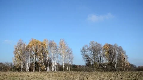 Autumn landscape Stock-Footage 142623149