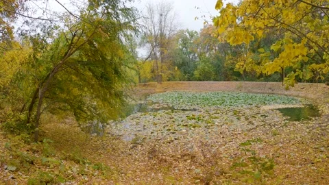 Autumn landscape Stock Footage 208430046