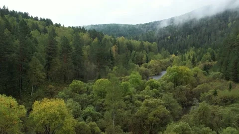  autumn landscape Stock Footage 214211230