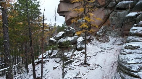 Autumn landscape  Stockbeeldmateriaal 218100969