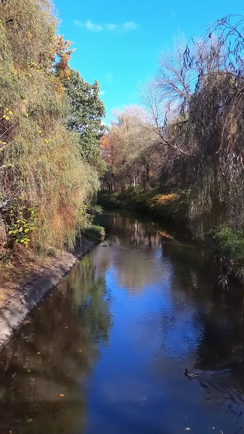 Autumn landscape Stock Footage 276385293