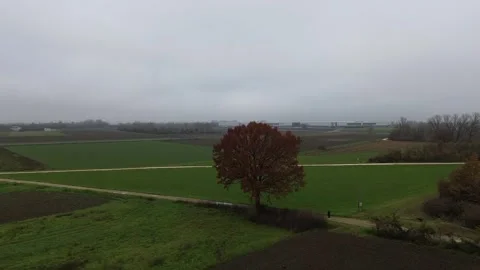 Autumn Landscape Vidéo 294999801