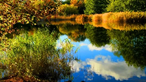 Autumn landscape. Stock Footage 340073797