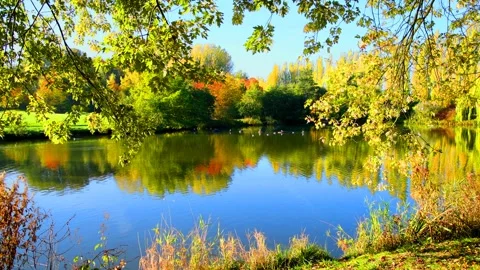 Autumn landscape. Stock Footage 340463969