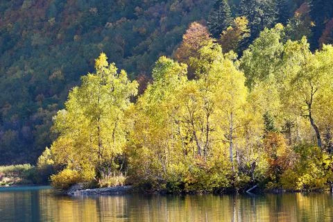 Autumn landscape in the forest Stock Photos