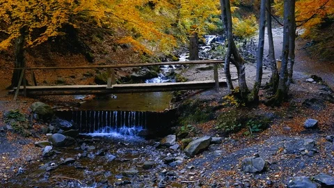 Autumn landscape with forest stream. Fall colors woodland nature background. Stock Footage 98694577
