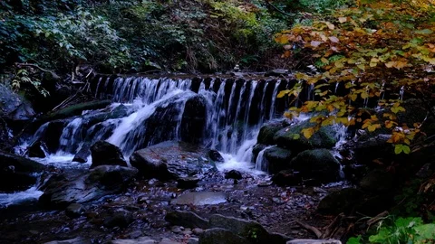 Autumn landscape with forest stream. Fall colors woodland nature background. Stock Footage 98694832
