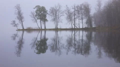 Autumn landscape, gloomy misty forest lake, reflection. Vídeo Stock