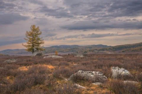Autumn Landscape With Mountain Range In The Background Of The Light Pink Sky Stock Photos