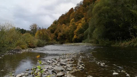 Autumn landscape of a mountain river Stock Footage 253752077