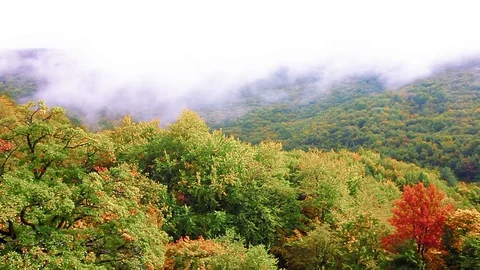 Autumn landscape in mountains Stock Footage 80942308