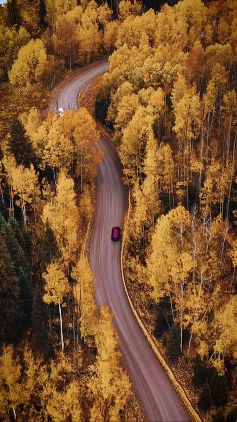 Autumn landscape in the mountains Stock Footage 269808111