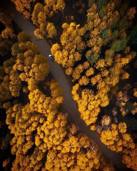 Autumn landscape in the mountains Stock Footage 269808823