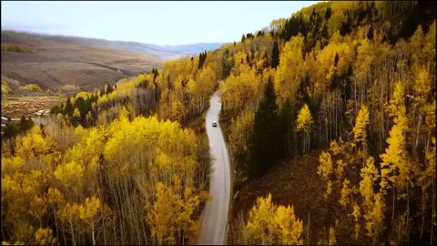 Autumn landscape in the mountains Stock Footage 269808890