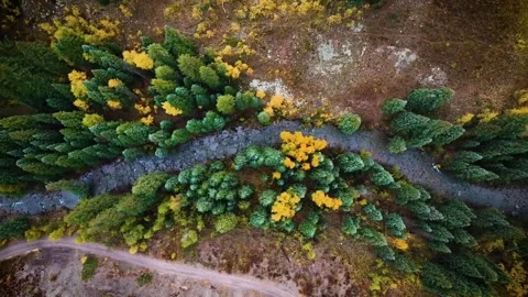 Autumn landscape in the mountains Stock Footage 269809249