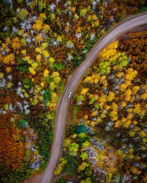Autumn landscape in the mountains Stock Footage 269810491