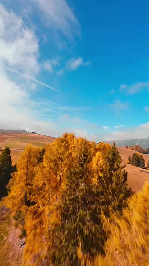 Autumn landscape in the mountains Stock Footage 273063257