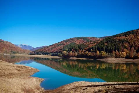 Autumn landscape in the mountains with river and colorful trees on backdrop Stock Photos