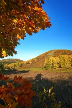 Autumn landscape. Multi-colored trees on the mountainside. Stock Photos
