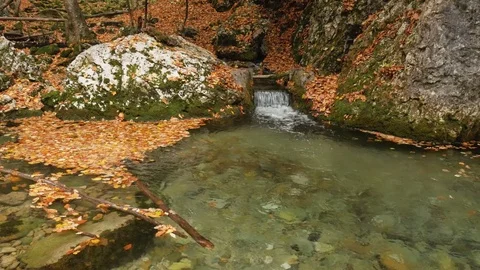Autumn landscape nature.  库存影片 83066446