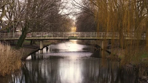Autumn landscape, old bridge, Full frame Video stock 228499800