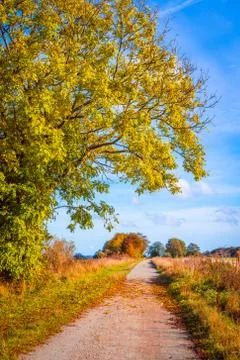 Autumn landscape with a path Foto stock