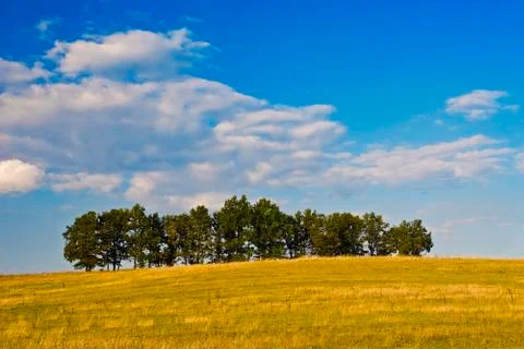 Autumn landscape Stock Photos