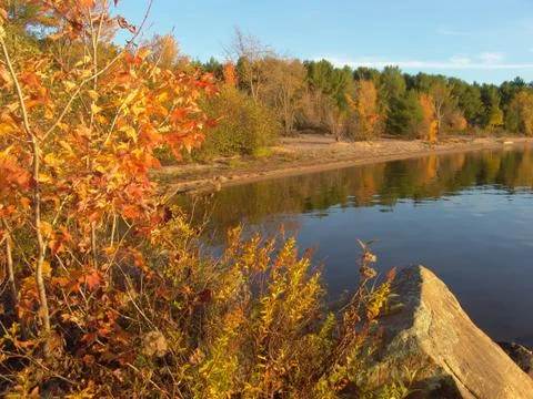 Autumn landscape Stock Photos