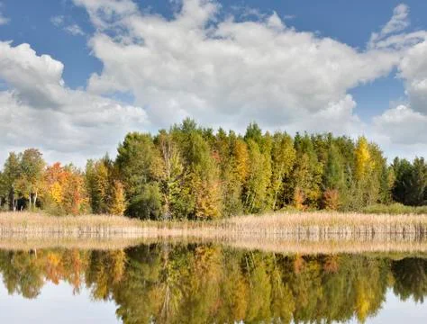 Autumn landscape Stock Photos