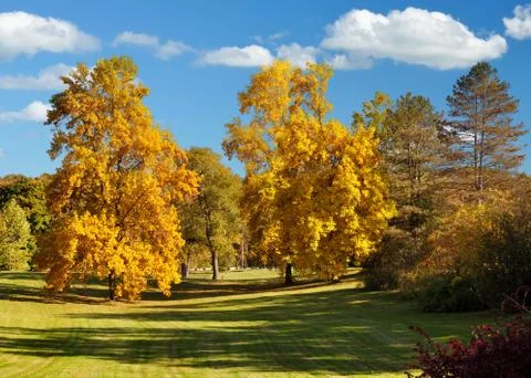 Autumn landscape Stock Photos