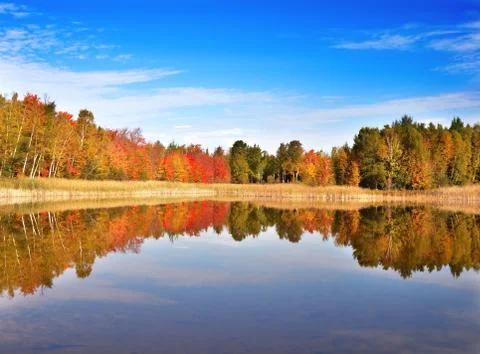 Autumn landscape Stock Photos