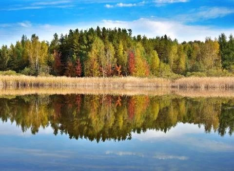 Autumn landscape Stock-Fotos