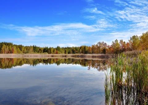 Autumn landscape Stock Photos